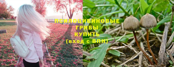 дживик Нягань