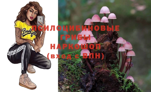 МДПВ Нязепетровск