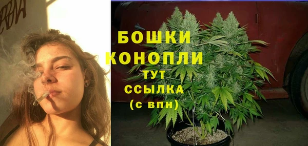 СК Осташков