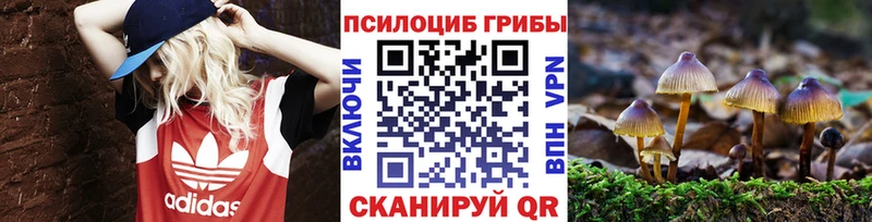 Галлюциногенные грибы прущие грибы  Купить где  Калачинск 